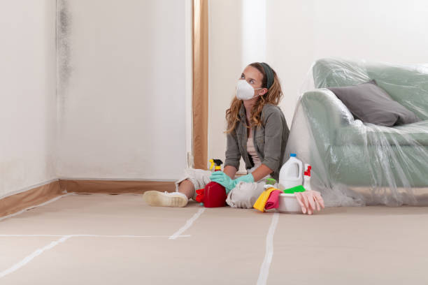 Reliable Mold Remediation contractor in Keller, TX by Car Mold Remediation